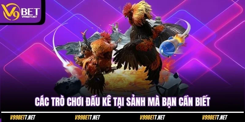 cac-tro-choi-dau-ke-tai-sanh-ma-ban-can-biet