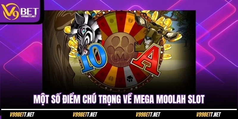 mot-so-diem-chu-trong-ve-mega-moolah-slot