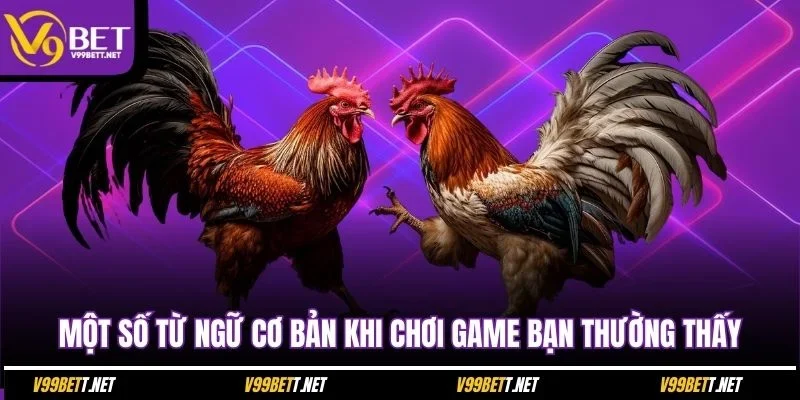 mot-so-tu-ngu-co-ban-khi-choi-game-ban-thuong-thay