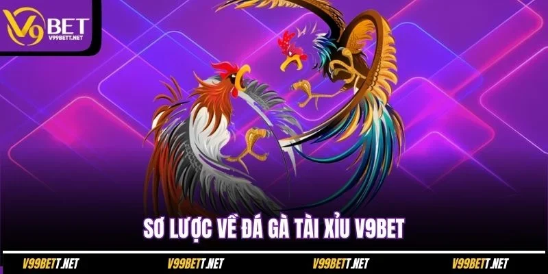 so-luoc-ve-da-ga-tai-xiu-v9bet
