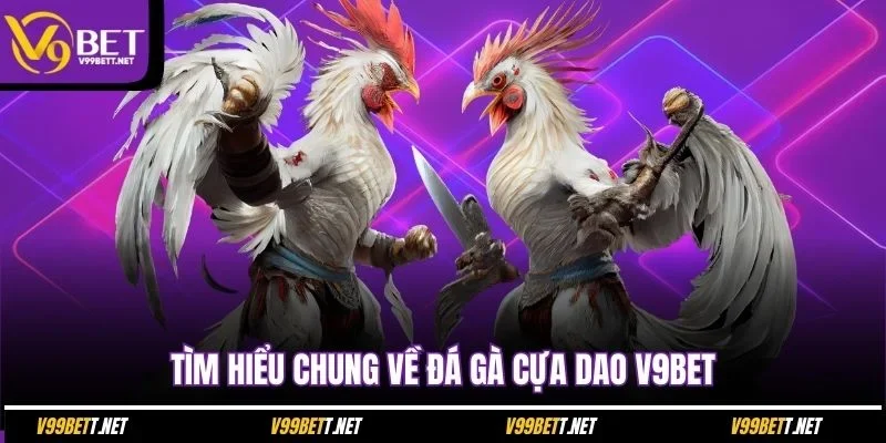 tim-hieu-chung-ve-da-ga-cua-dao-v9bet