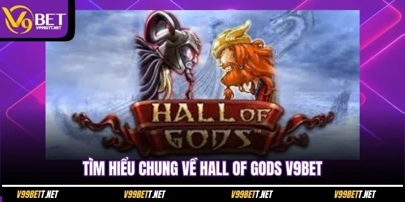 tim-hieu-chung-ve-hall-of-gods-v9bet