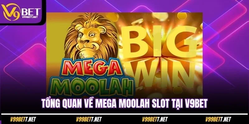 tong-quan-ve-mega-moolah-slot-tai-v9bet